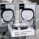 smart2.jpg