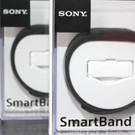 smart3.jpg