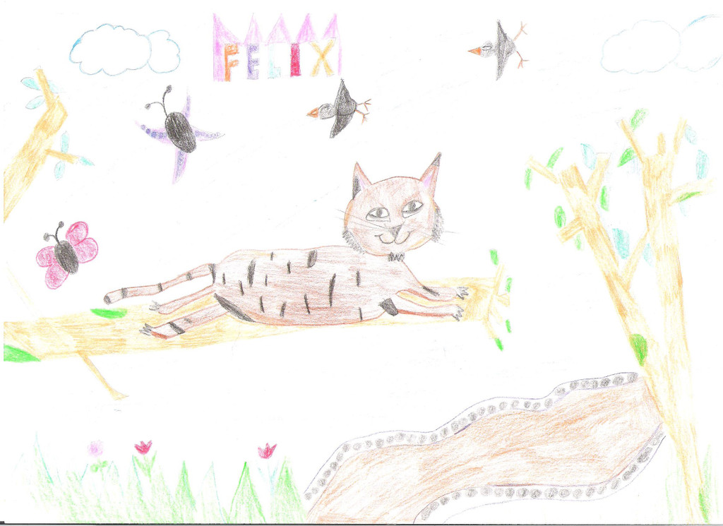 Felix Valentina 8 aus Sulz.jpg