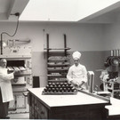 gunz_hans_enkel_hansi_1957.jpg