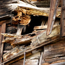 DSC07265.JPG