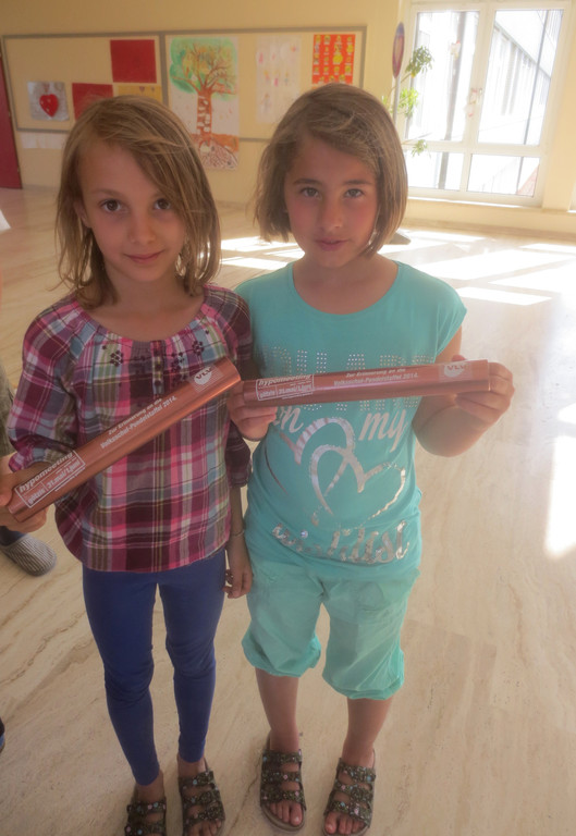 Volksschule OLYMPIADE Juni 2014 _2_.JPG