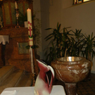 DSCN0010.JPG
