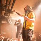 13705184.jpg