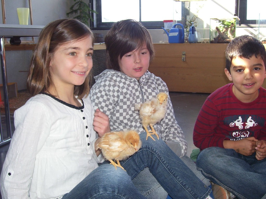 100_9261_jpg-1271659063