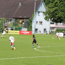 IMG_6881.jpg