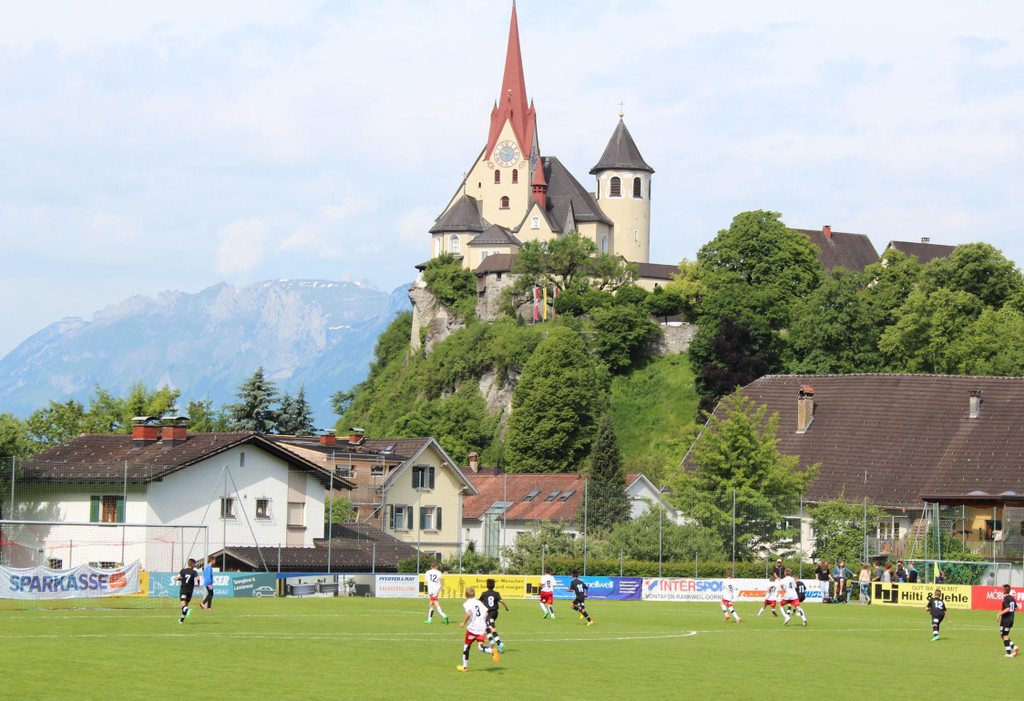 IMG_6882.jpg