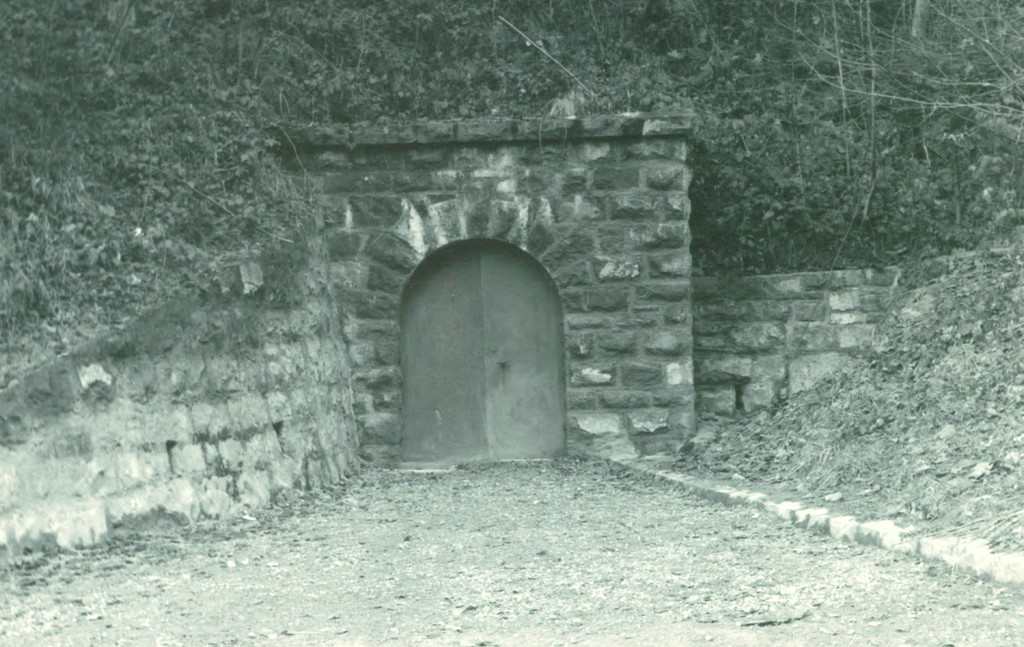 Eingang Montagestollen Felsenau.jpg