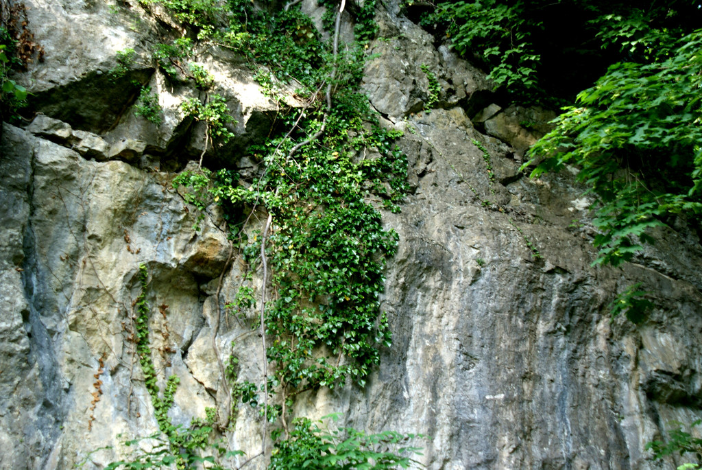 09 Der Steinbruch f__r die Burg.JPG