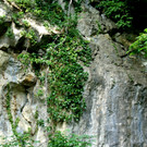09 Der Steinbruch f__r die Burg.JPG