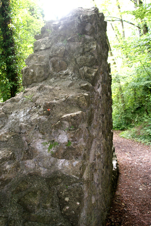 11.JPG