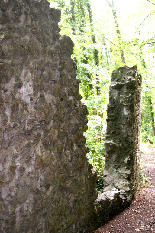 12 Dieser Zwinger wurde von den Emser Grafen erbaut.JPG