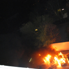DSC_0087.jpg