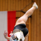 Katharina Fa