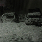 IMG_0015.jpg