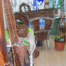 RIMG0007_JPG-1271669024
