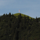 DSC_0092.JPG