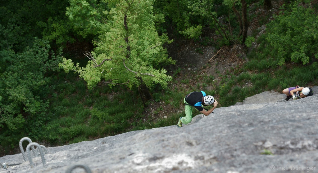 DSC05700 _Medium_.JPG