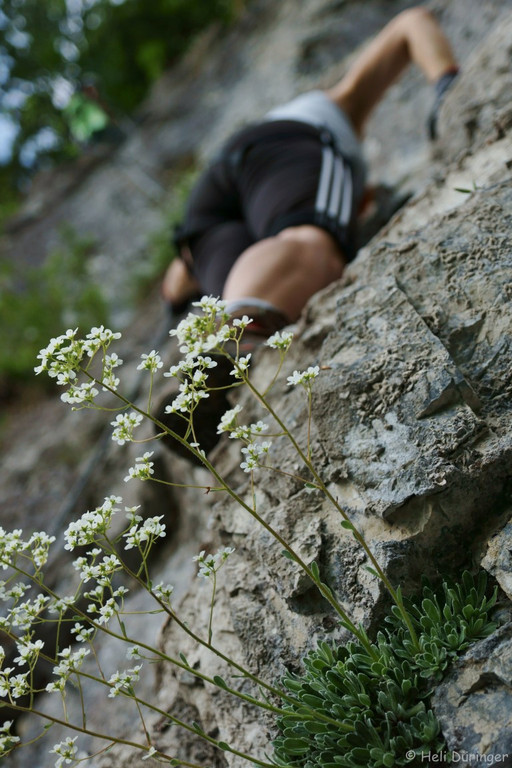 DSC05732 _Medium_.JPG