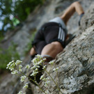 DSC05732 _Medium_.JPG