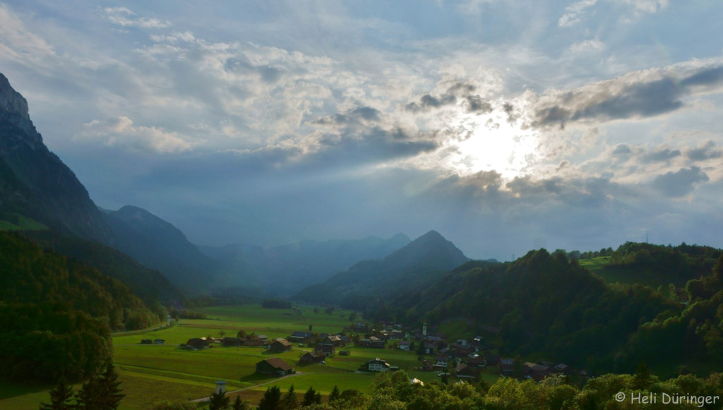 DSC05746 _Medium_.JPG