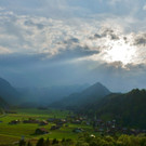 DSC05746 _Medium_.JPG