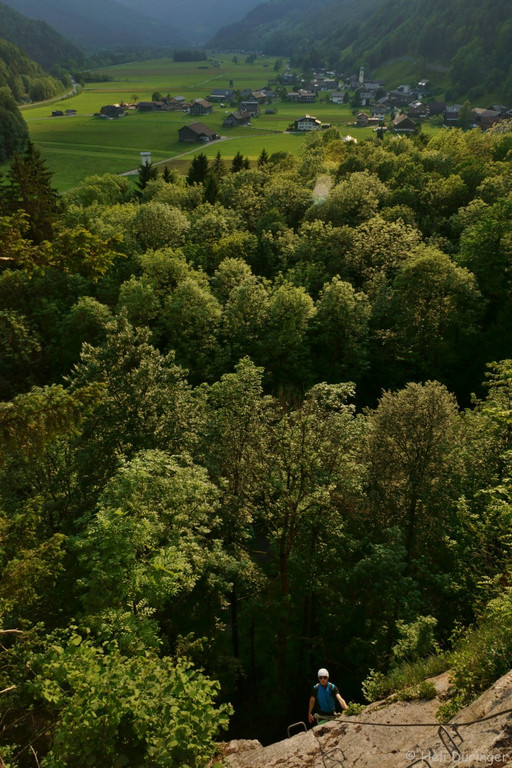 DSC05747 _Medium_.JPG