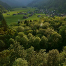DSC05747 _Medium_.JPG