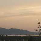 image _4_.jpg