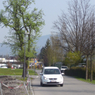 100_9347_jpg-1271680810