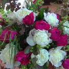 DSC00498.JPG