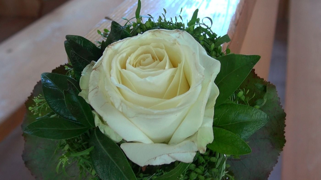 DSC00504.JPG
