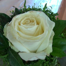 DSC00504.JPG