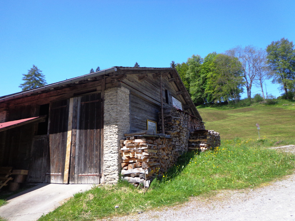Narzissenbl__te Seewis - 24_5_2014 005.JPG
