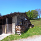Narzissenbl__te Seewis - 24_5_2014 005.JPG