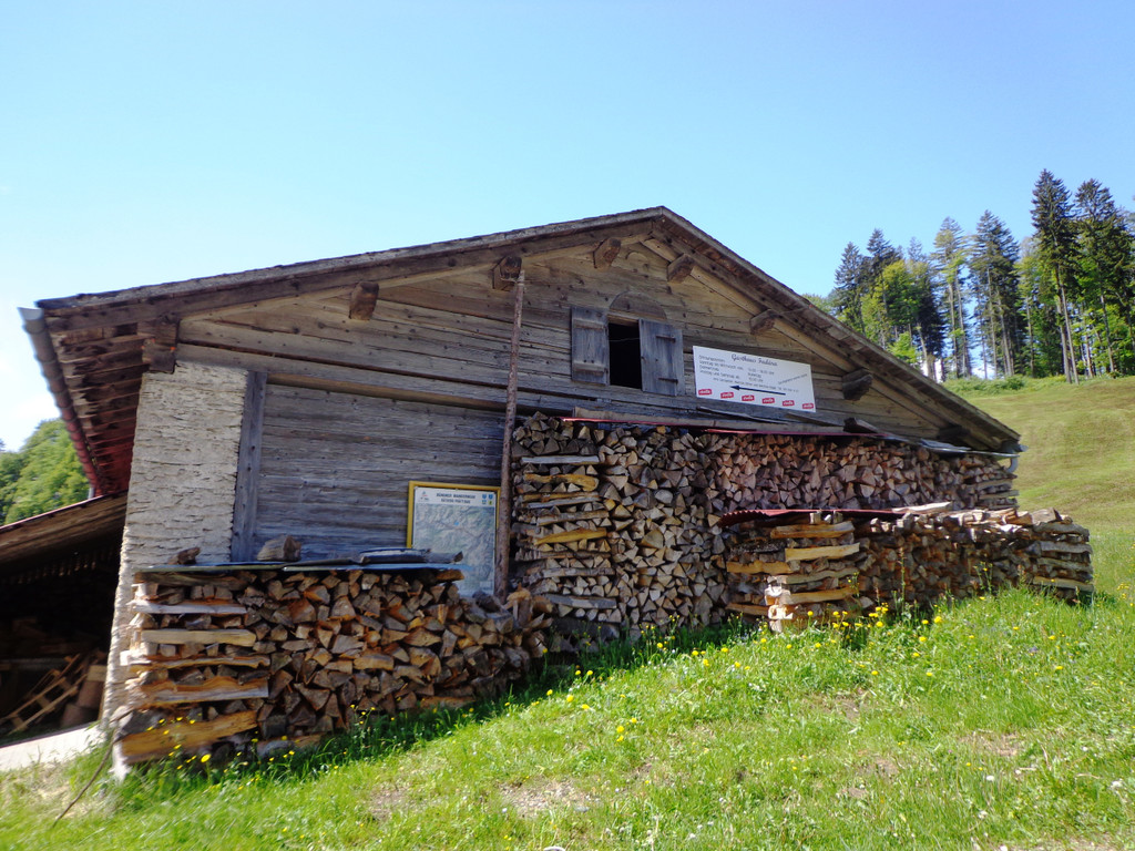 Narzissenbl__te Seewis - 24_5_2014 006.JPG
