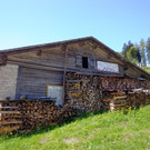 Narzissenbl__te Seewis - 24_5_2014 006.JPG