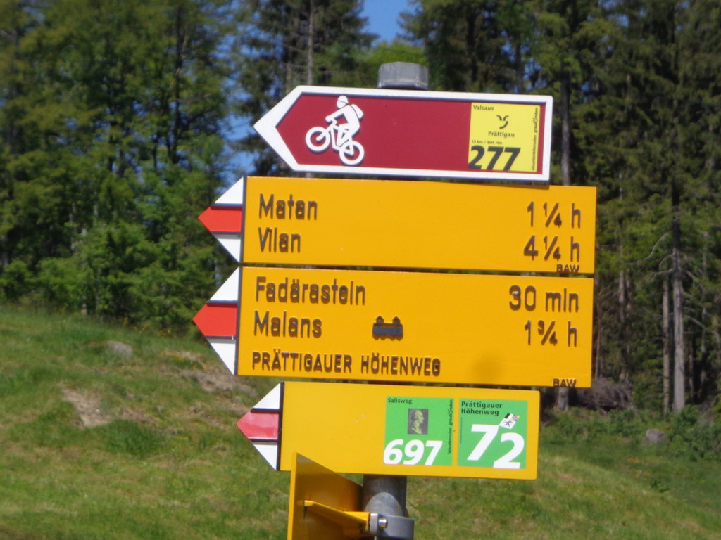 Narzissenbl__te Seewis - 24_5_2014 010.JPG