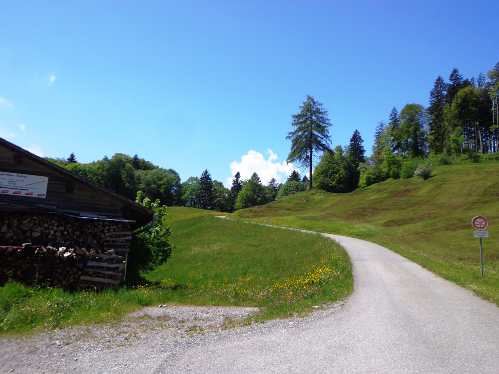 Narzissenbl__te Seewis - 24_5_2014 011.JPG