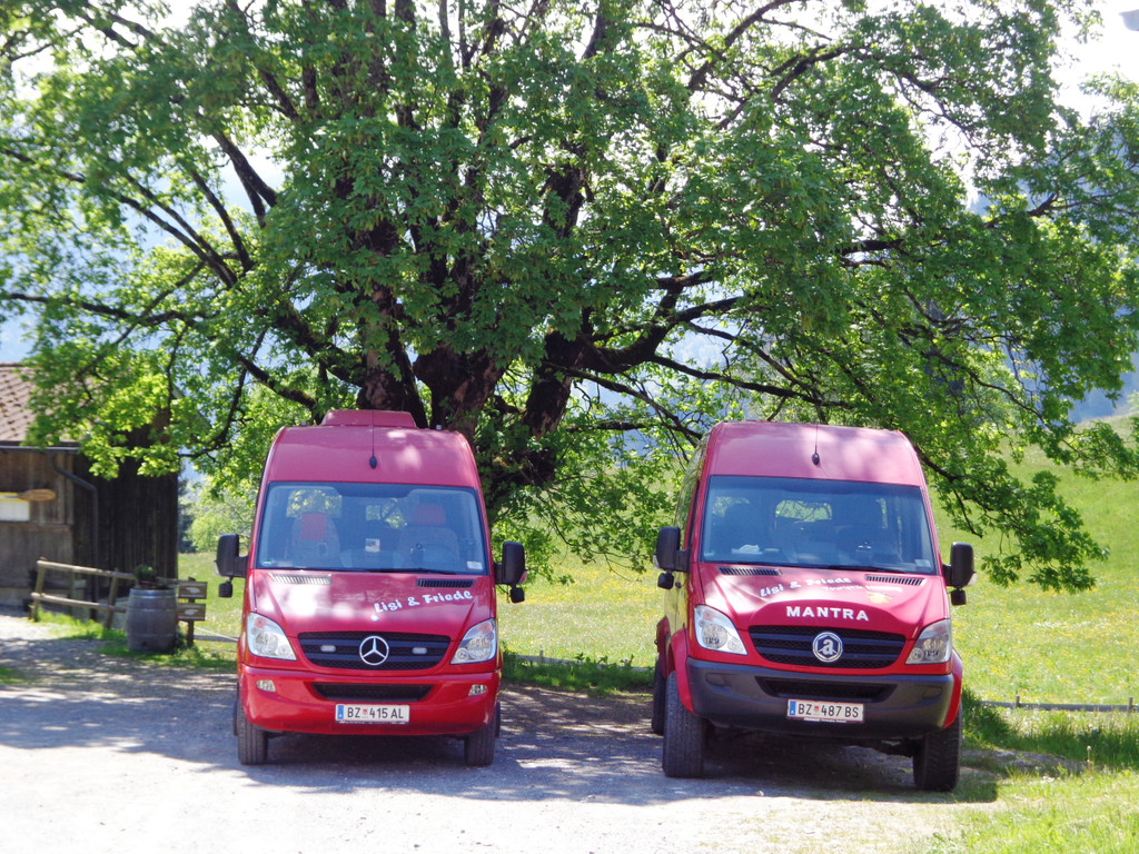Narzissenbl__te Seewis - 24_5_2014 013.JPG