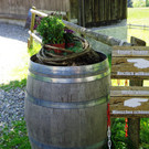 Narzissenbl__te Seewis - 24_5_2014 017.JPG