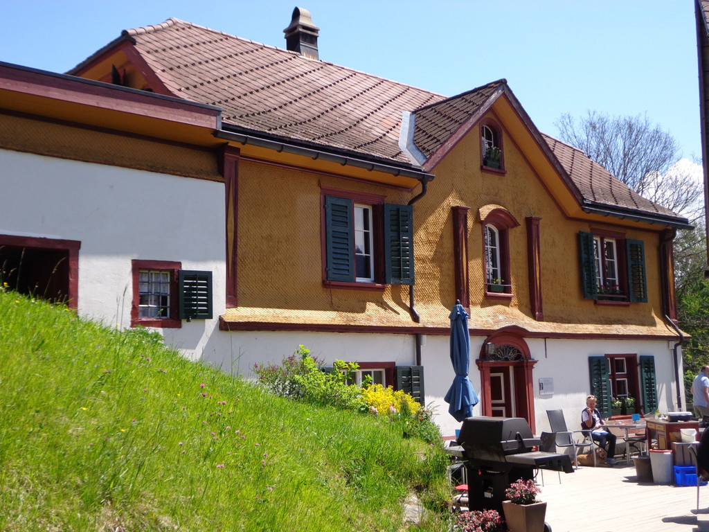 Narzissenbl__te Seewis - 24_5_2014 022.JPG