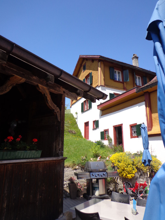 Narzissenbl__te Seewis - 24_5_2014 049.JPG