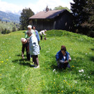 Narzissenbl__te Seewis - 24_5_2014 064.JPG