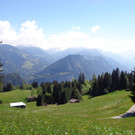 Narzissenbl__te Seewis - 24_5_2014 135.JPG