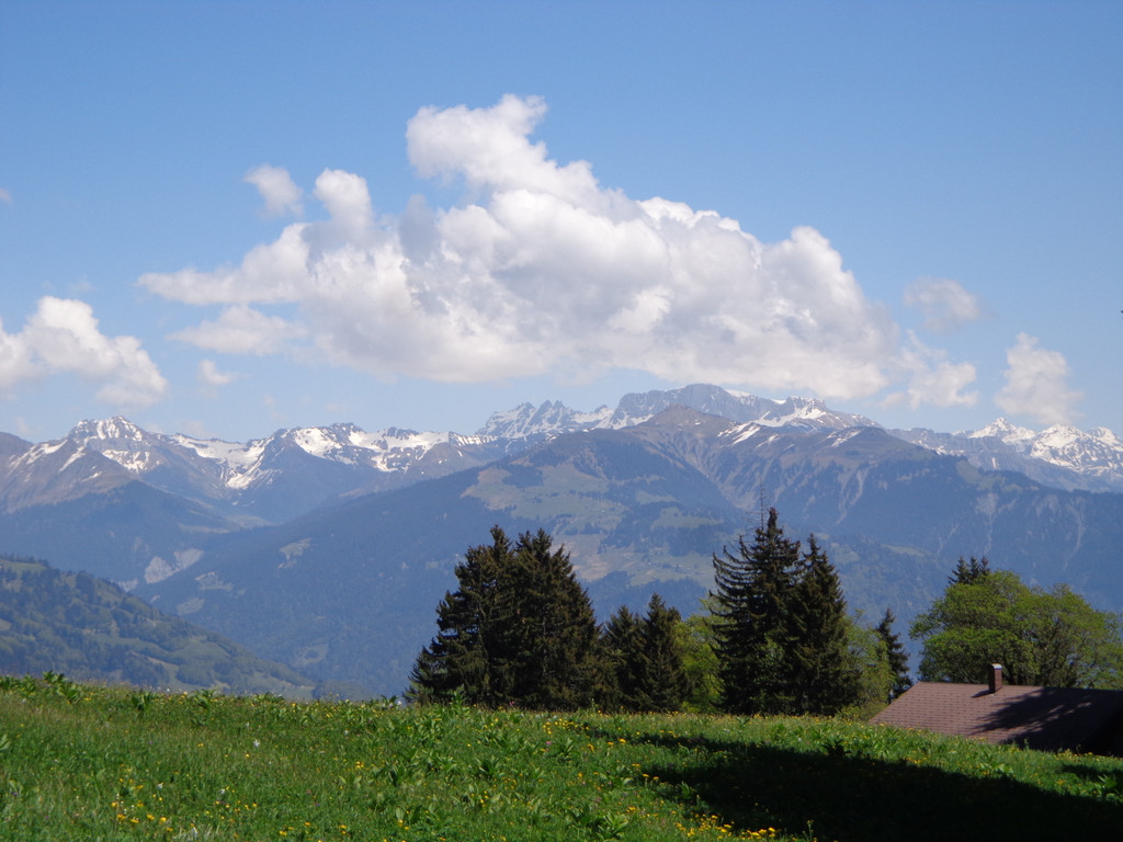 Narzissenbl__te Seewis - 24_5_2014 137.JPG
