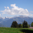 Narzissenbl__te Seewis - 24_5_2014 137.JPG