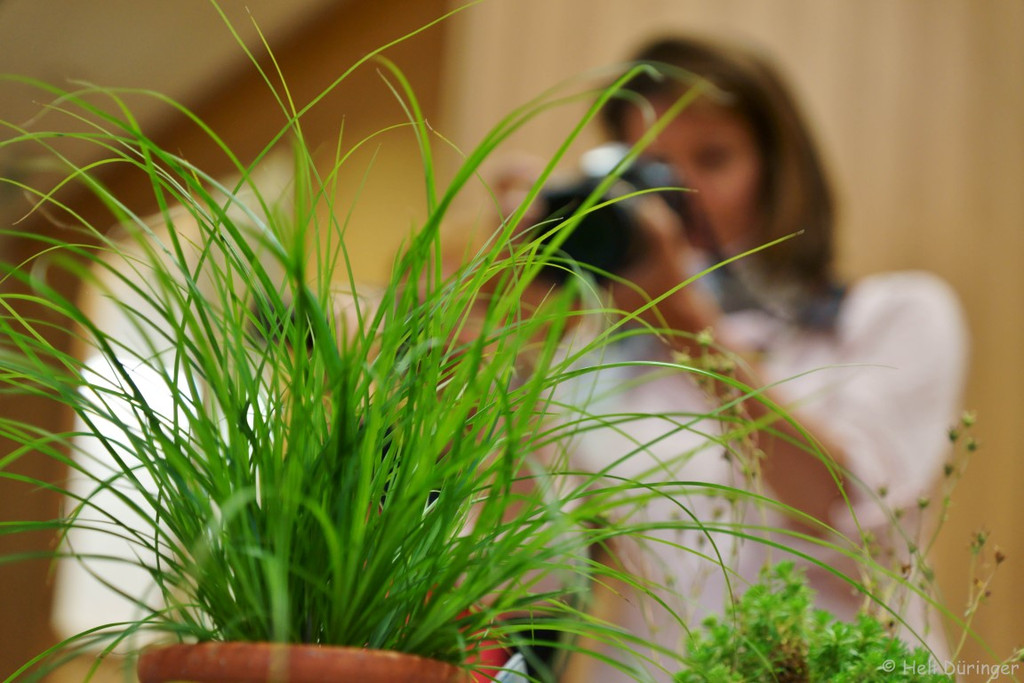 DSC05762 _Medium_.jpg