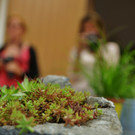 DSC05763 _Medium_.jpg