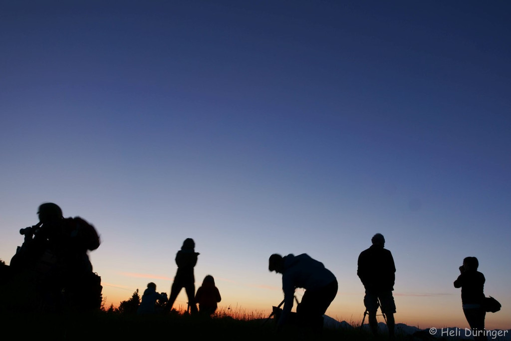 DSC05782 _Medium_.jpg